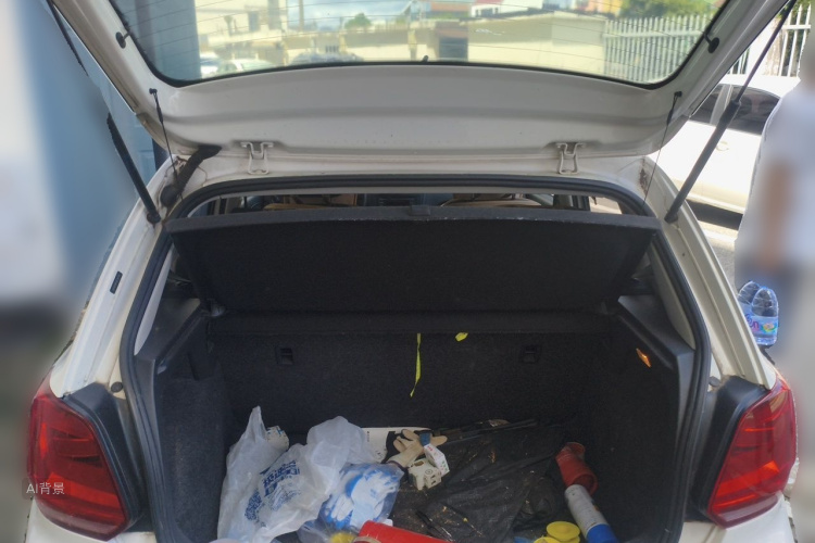 Volkswagen Polo 2015 car image #21