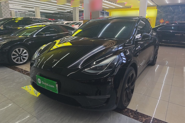 Tesla Model Y 2022 car image #2