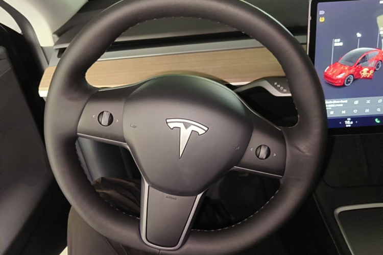 Tesla Model Y 2021 car image #11