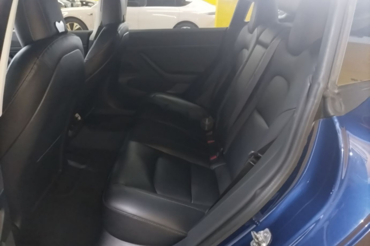 Tesla Model 3 2020 car image #17