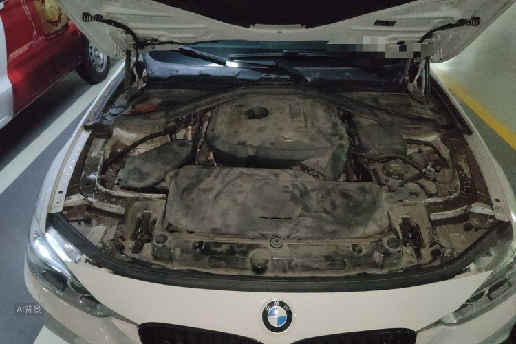 BMW 3 Series 2019 car image #22