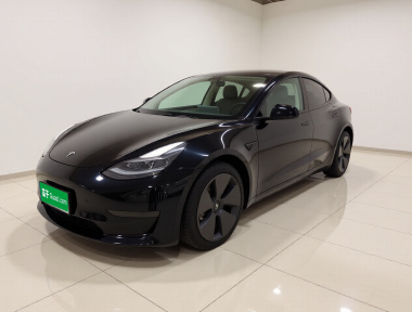 Tesla Model 3 2023 car image 