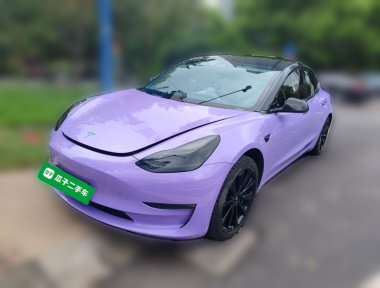 Tesla Model 3 2020 car image 