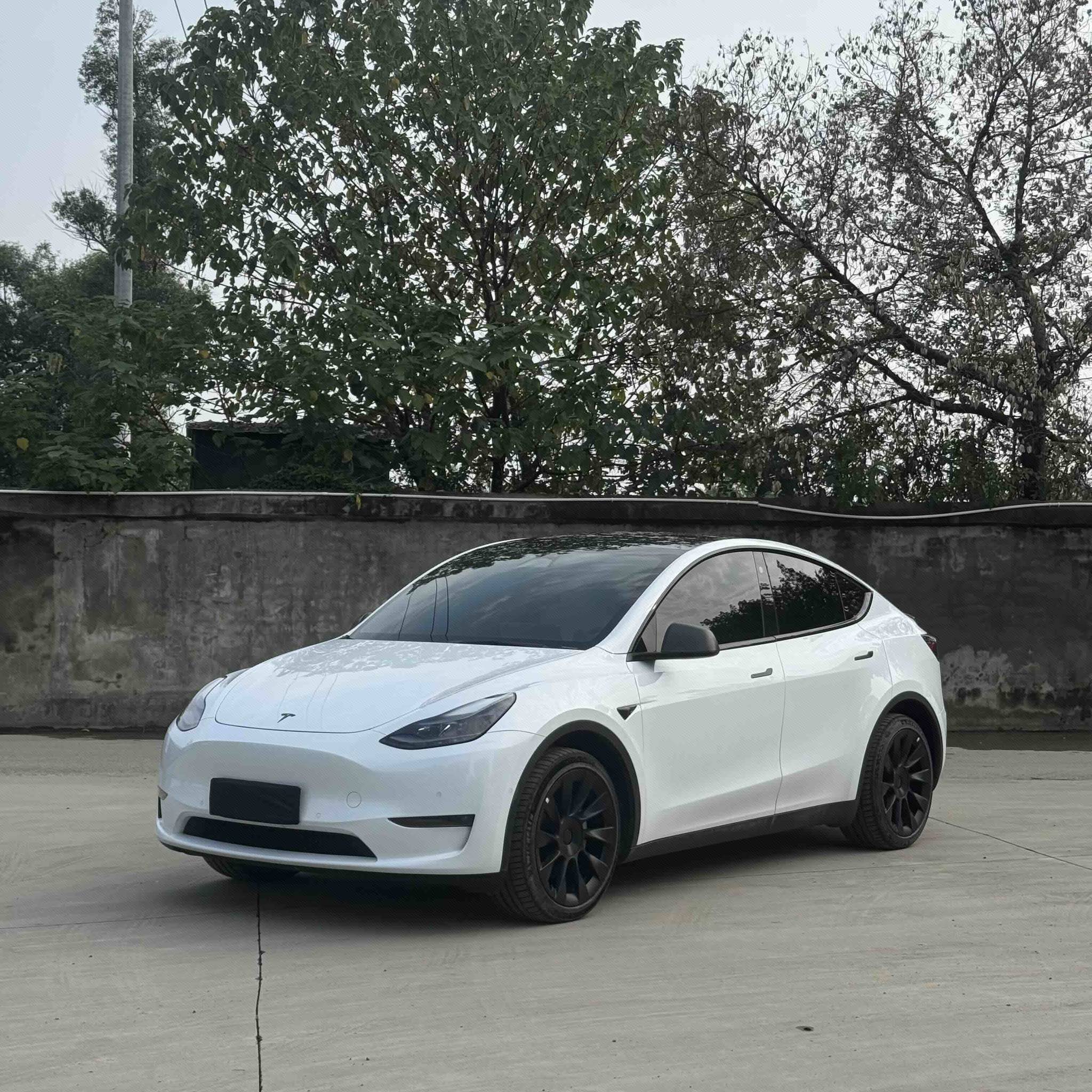Tesla Model Y 2023 car image 