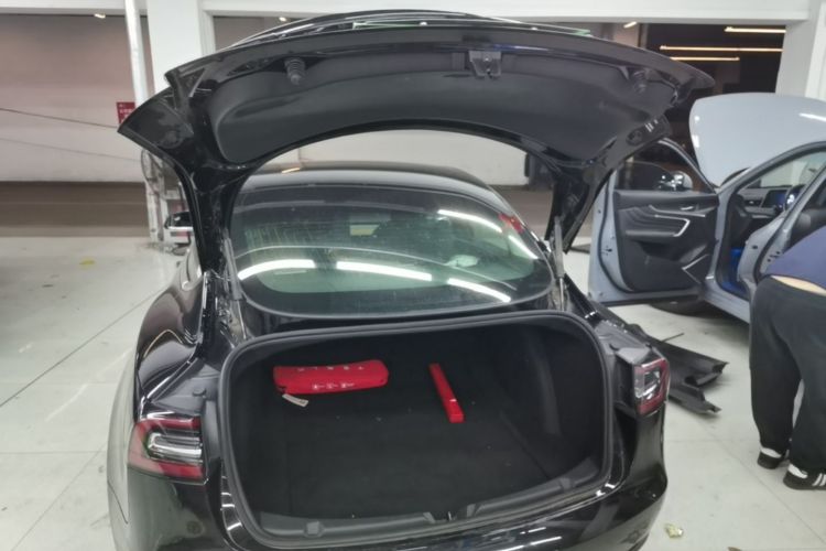 Tesla Model 3 2020 car image #19