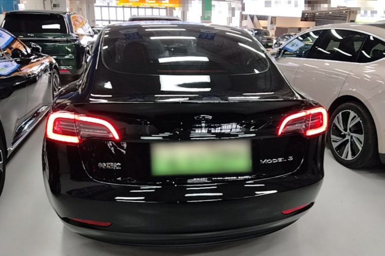 Tesla Model 3 2021 #6 Tesla Model 3 2021 car image #6
