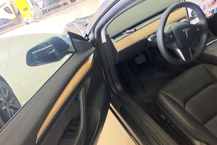Tesla Model 3 2021 car image #16