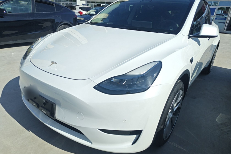Tesla Model Y 2022 car image #2