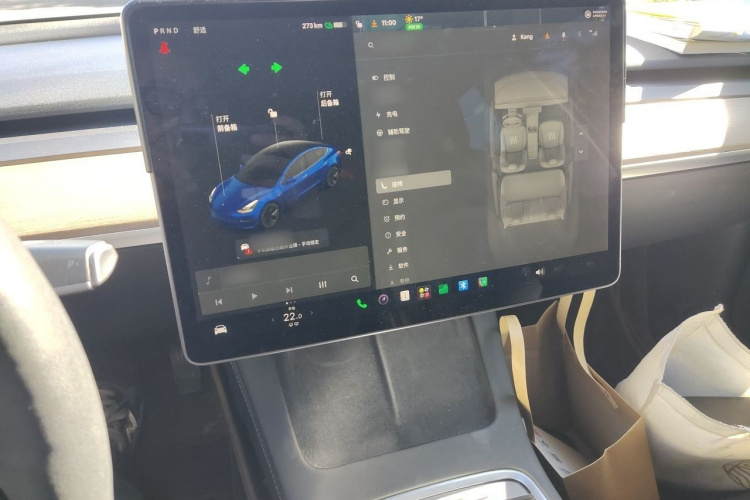 Tesla Model 3 2021 #19 Tesla Model 3 2021 image de voiture #19