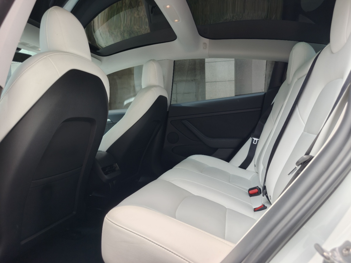 Tesla Model 3 2021 immagine di auto #5