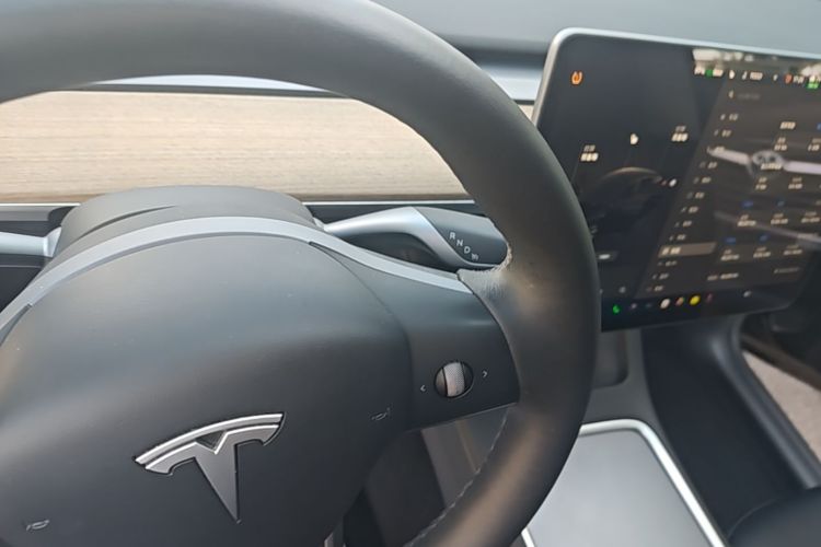 Tesla Model Y 2022 car image #14