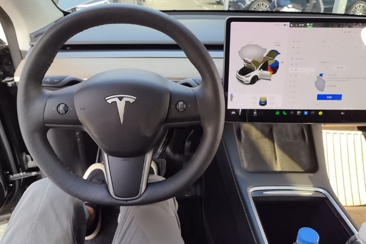 Tesla Model Y 2021 car image #10