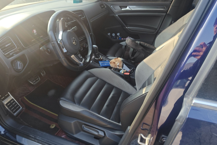 Volkswagen Golf 2019 #17 Volkswagen Golf 2019 car image #17