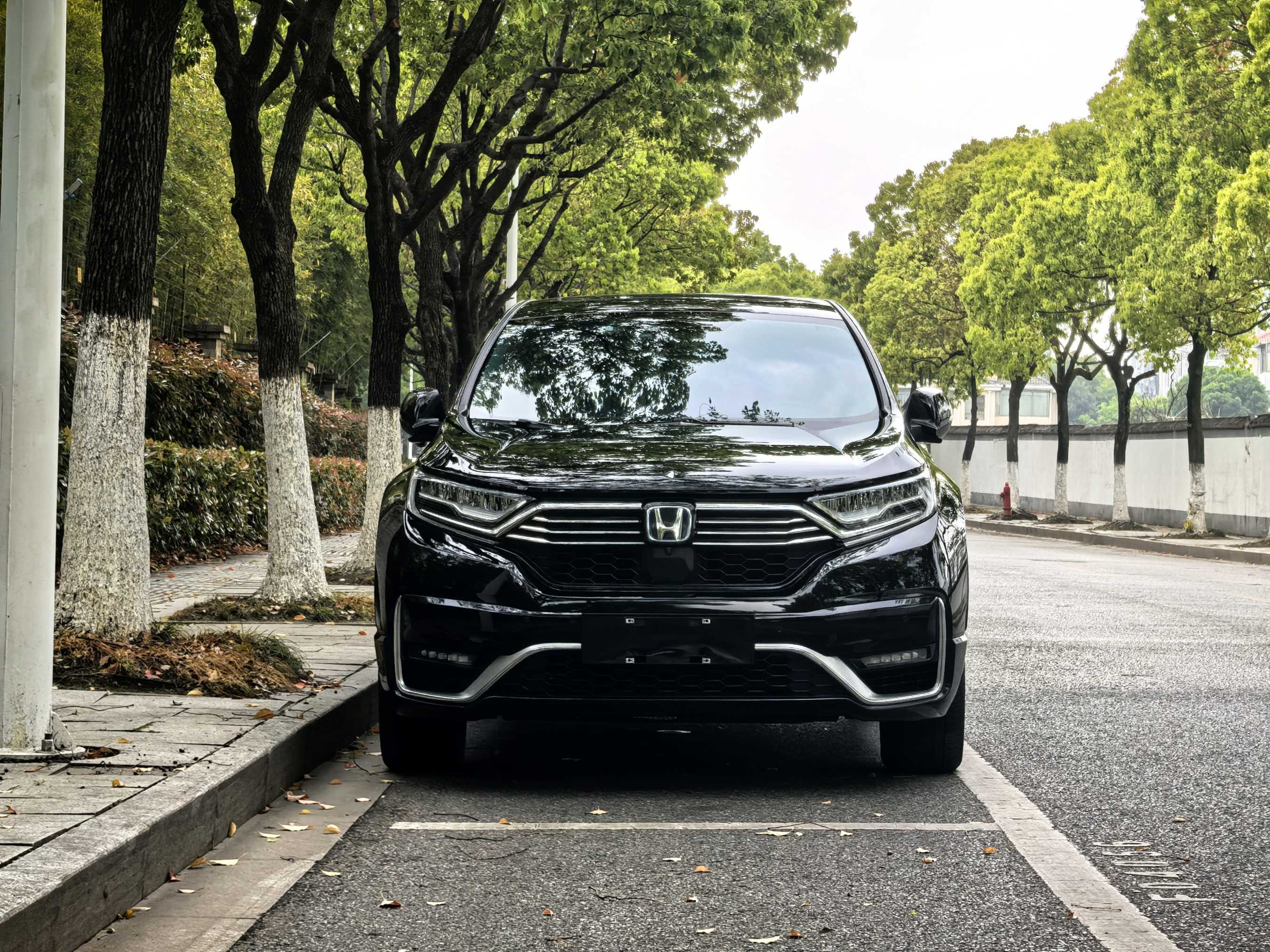 Honda CR-V New Energy 2023 car image #2