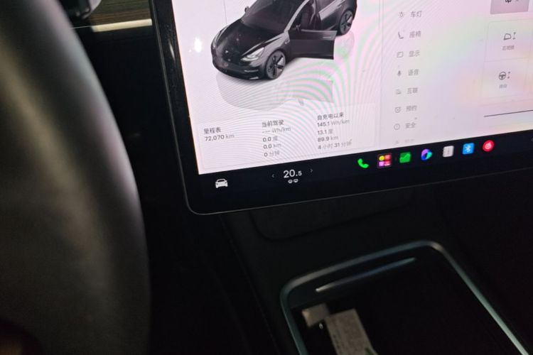 Tesla Model 3 2022 car image #12