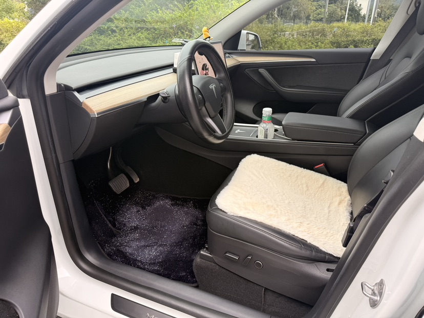 Tesla Model Y 2022 car image #4