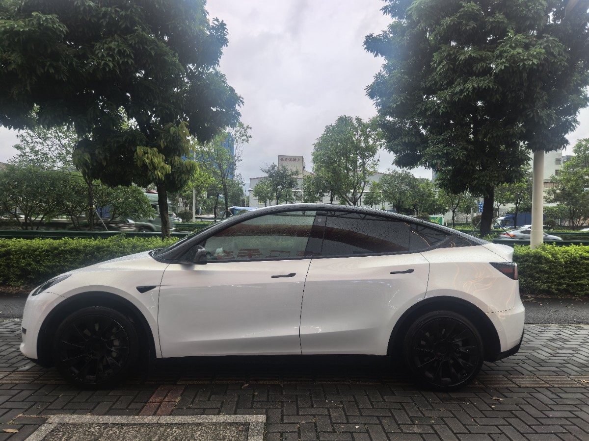 Tesla Model Y 2021 car image #7