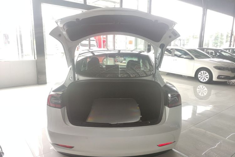 Tesla Model 3 2023 #19 Tesla Model 3 2023 car image #19