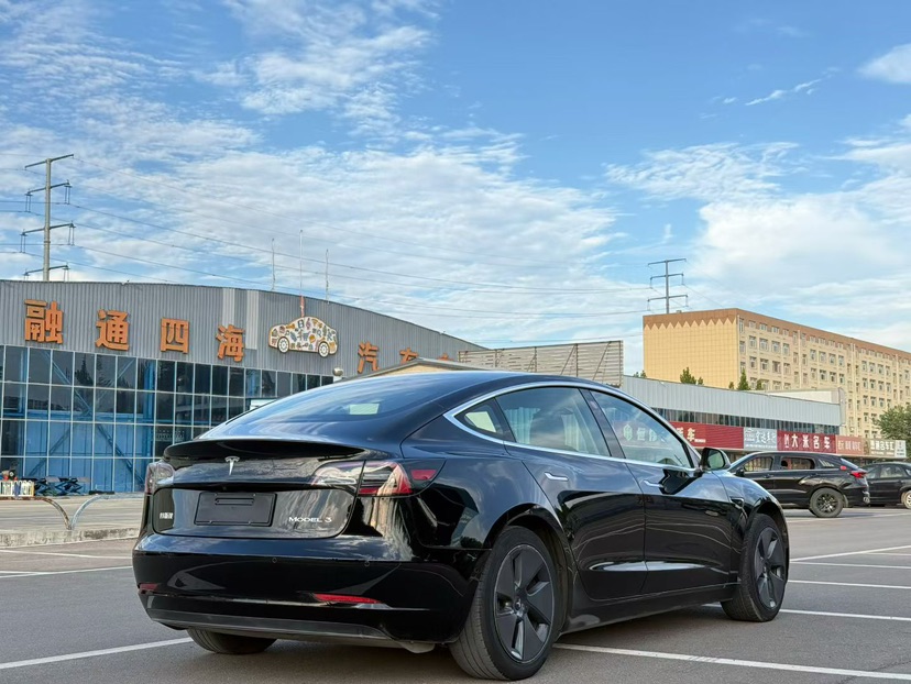 Tesla Model 3 2020 immagine di auto #9