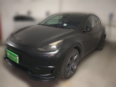 Tesla Model Y 2022 car image 