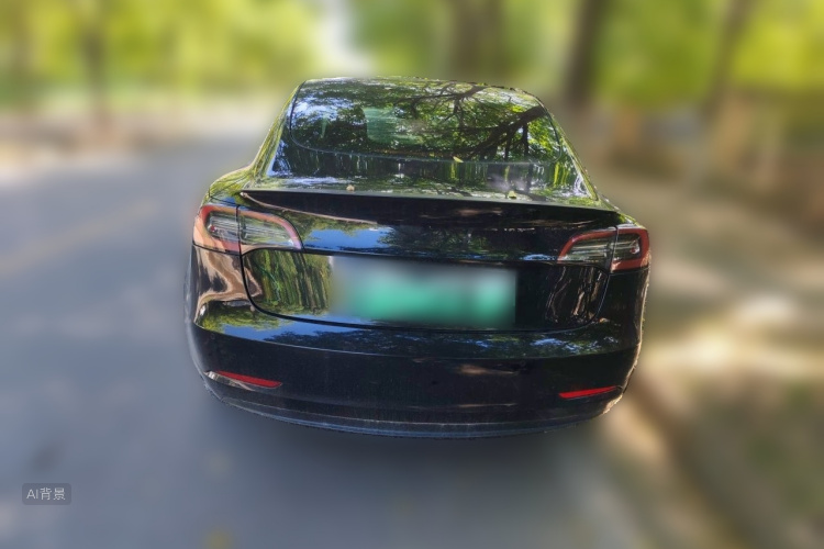 Tesla Model 3 2022 #6 Tesla Model 3 2022 car image #6