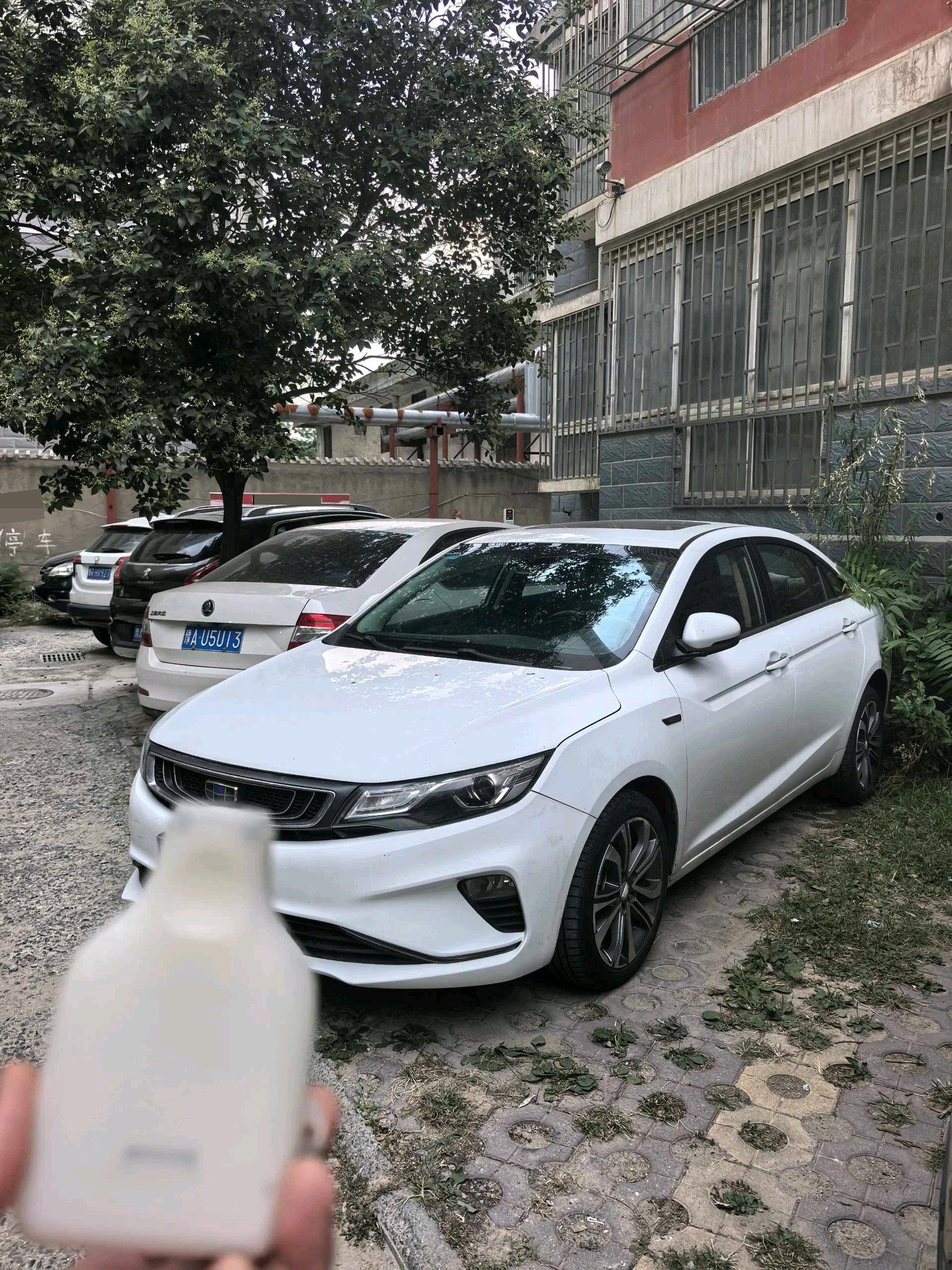 GEELY Emgrand GL 2018 GEELY Emgrand GL 2018 car image