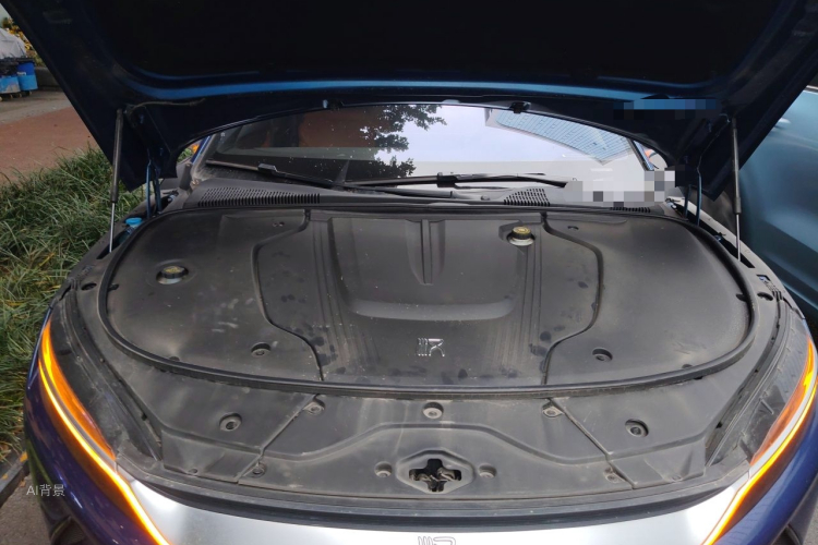 BYD Han 2021 car image #22