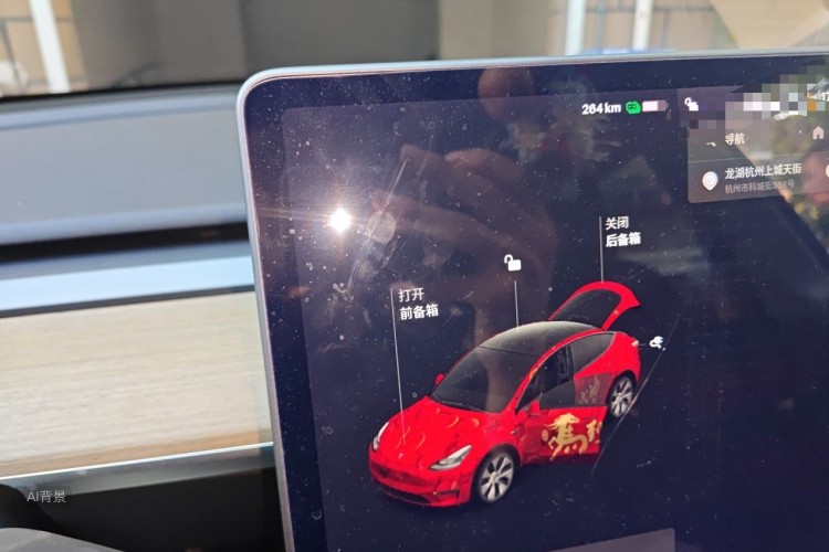 Tesla Model Y 2021 car image #13