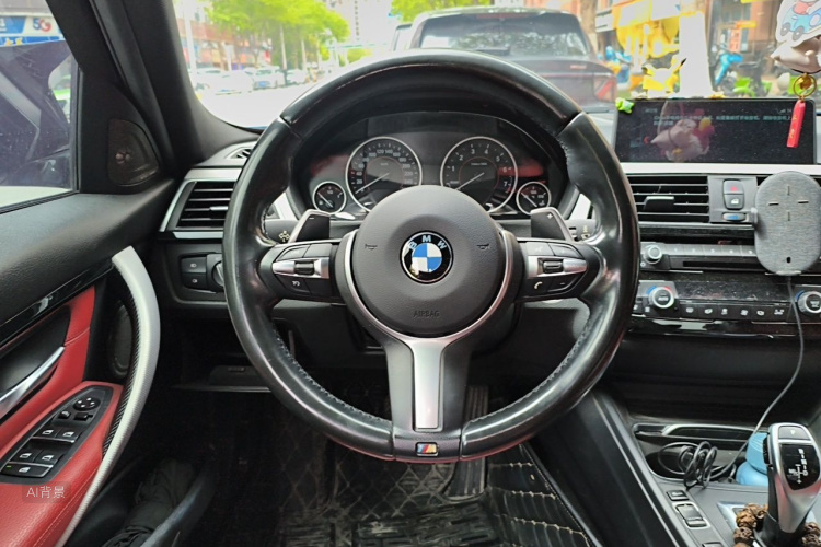 BMW 3 Series 2016 car image #12