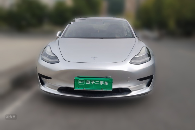 Tesla Model 3 2020 car image #3