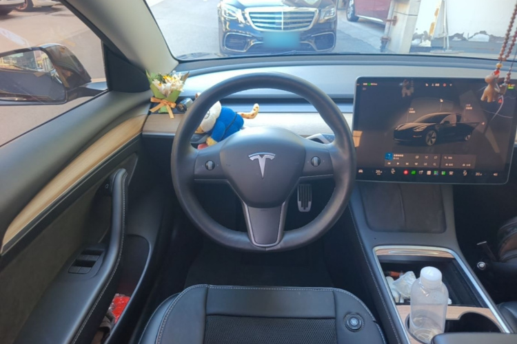 Tesla Model 3 2022 car image #11