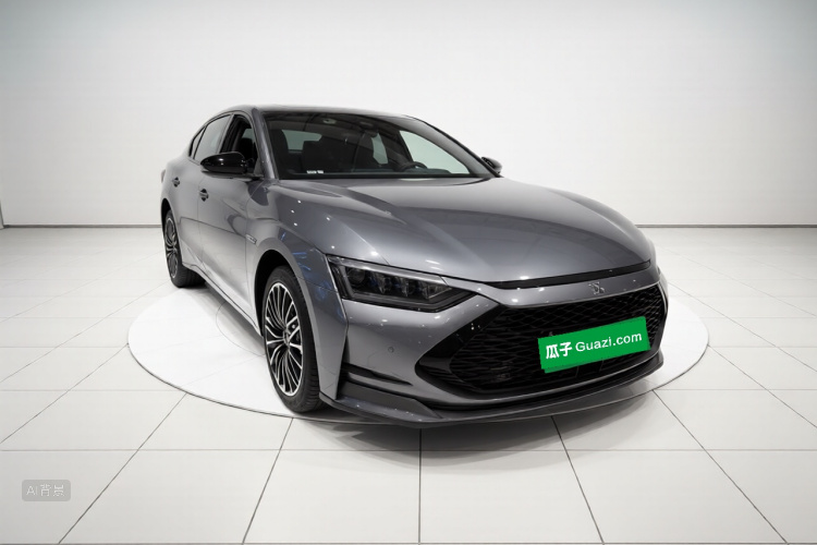 BYD Han 2020 immagine di auto #4