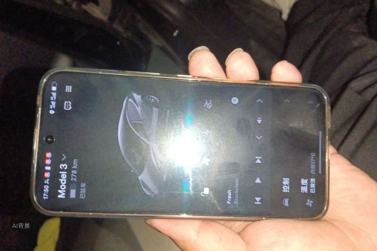 Tesla Model 3 2023 car image #10