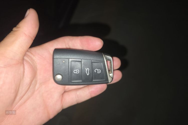 Volkswagen Tharu 2021 car image #10