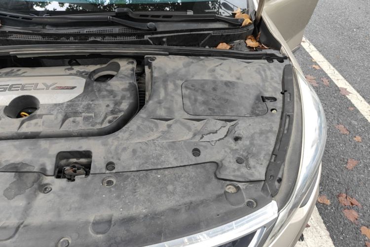 GEELY Emgrand GS 2016 car image #24