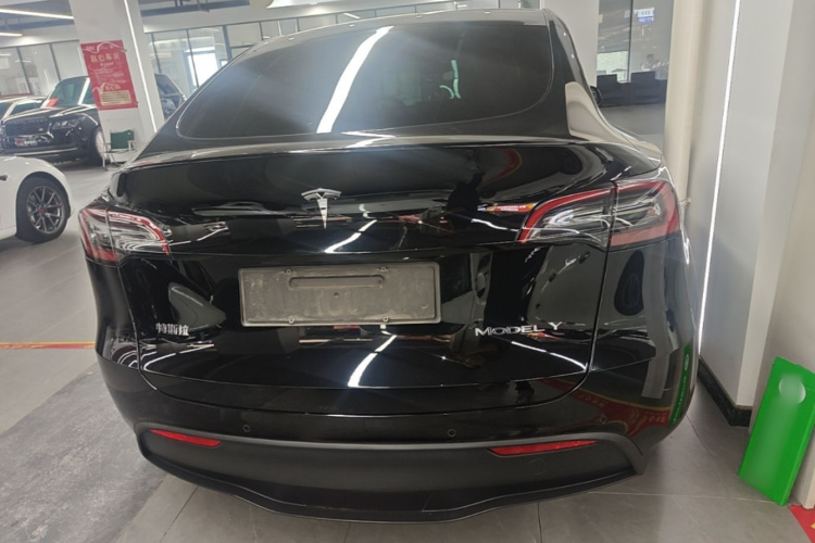 Tesla Model Y 2023 #6 Tesla Model Y 2023 car image #6
