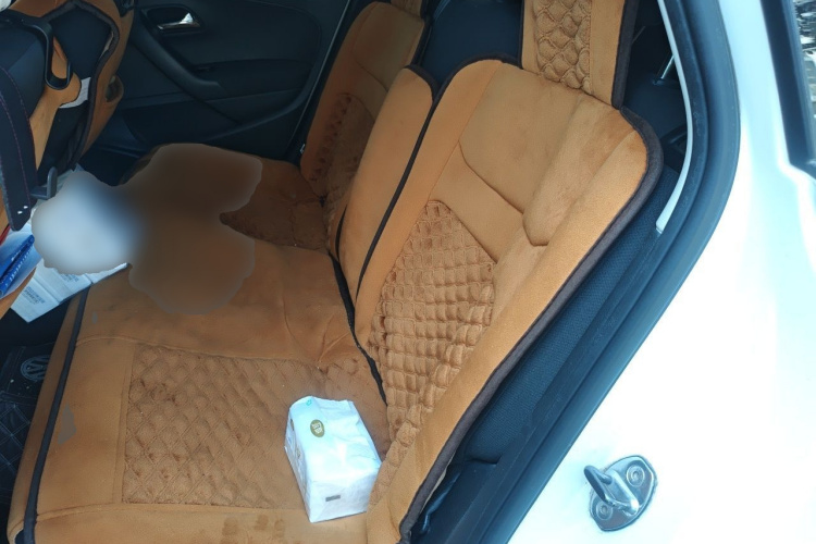 Volkswagen Polo 2016 car image #10