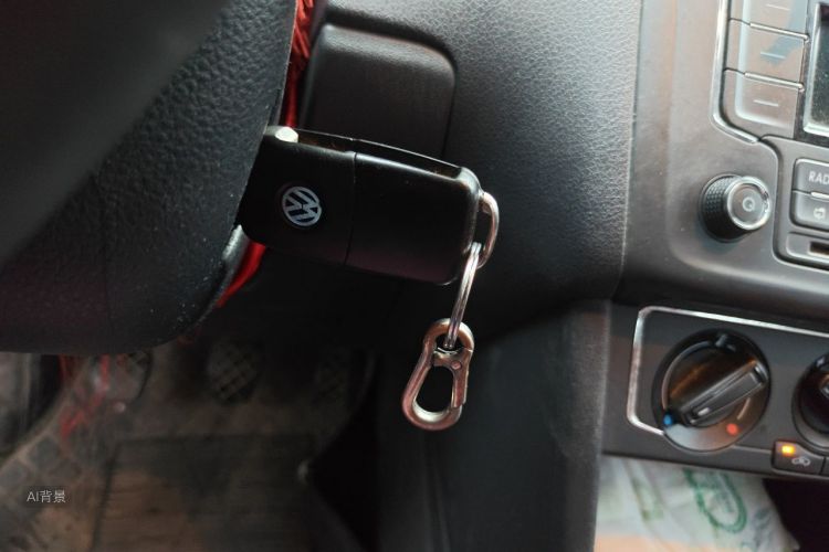 Volkswagen Polo 2015 car image #10