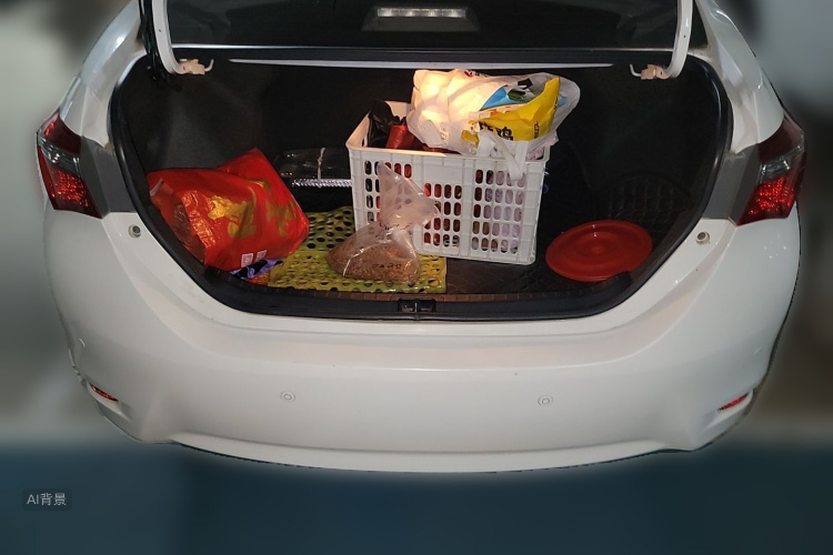 Toyota Corolla 2019 car image #21