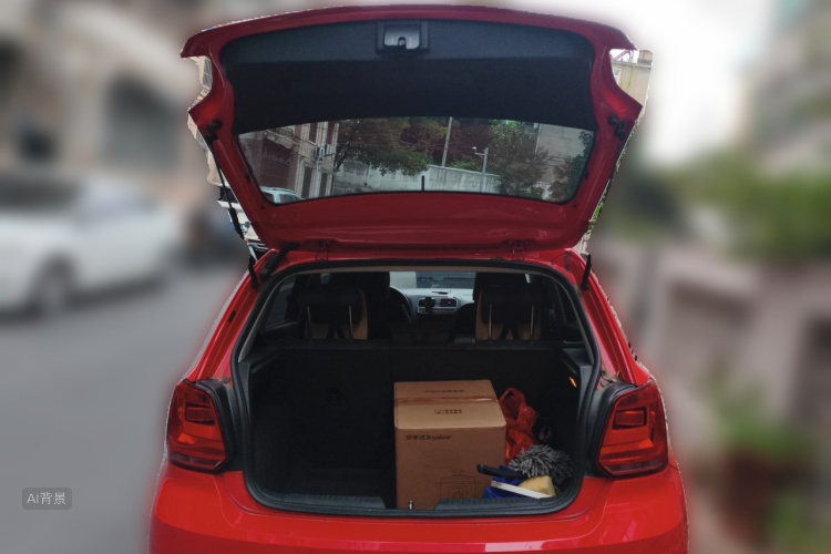 Volkswagen Polo 2016 car image #21