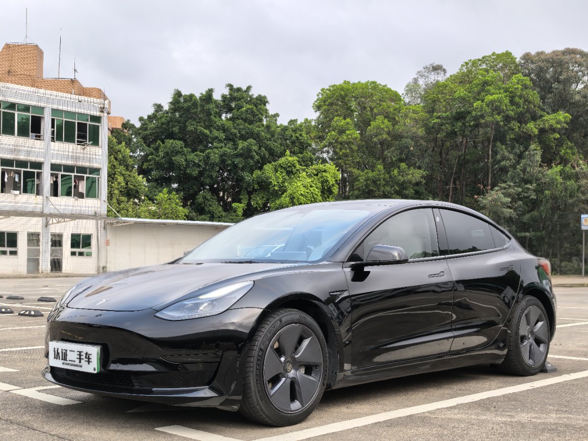 Tesla Model 3 2021 car image 