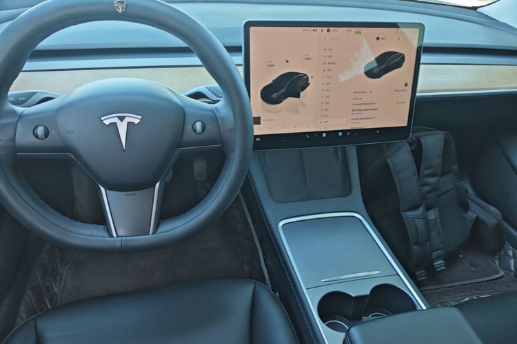 Tesla Model 3 2022 car image #18