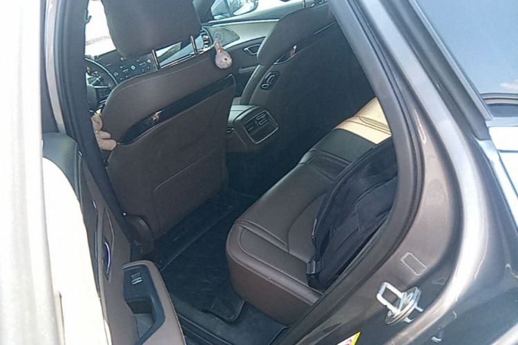 BYD Han 2022 imagen de coche #13