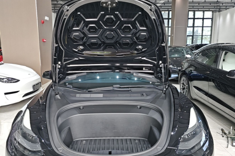 Tesla Model 3 2021 car image #20