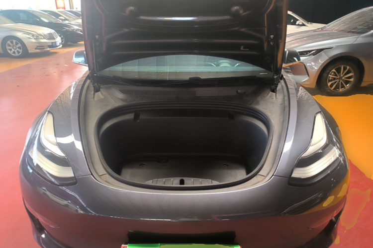 Tesla Model 3 2020 car image #20