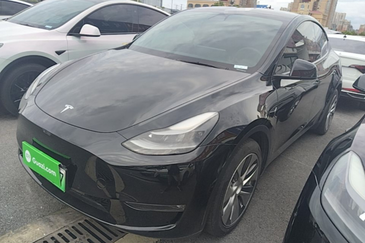 Tesla Model Y 2021 #2 Tesla Model Y 2021 car image #2