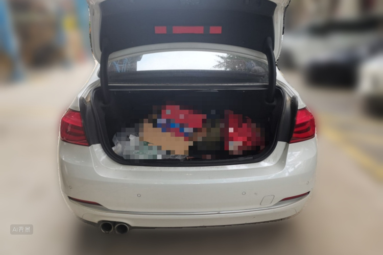 BMW 3 Series 2017 #21 BMW 3 Series 2017 immagine di auto #21