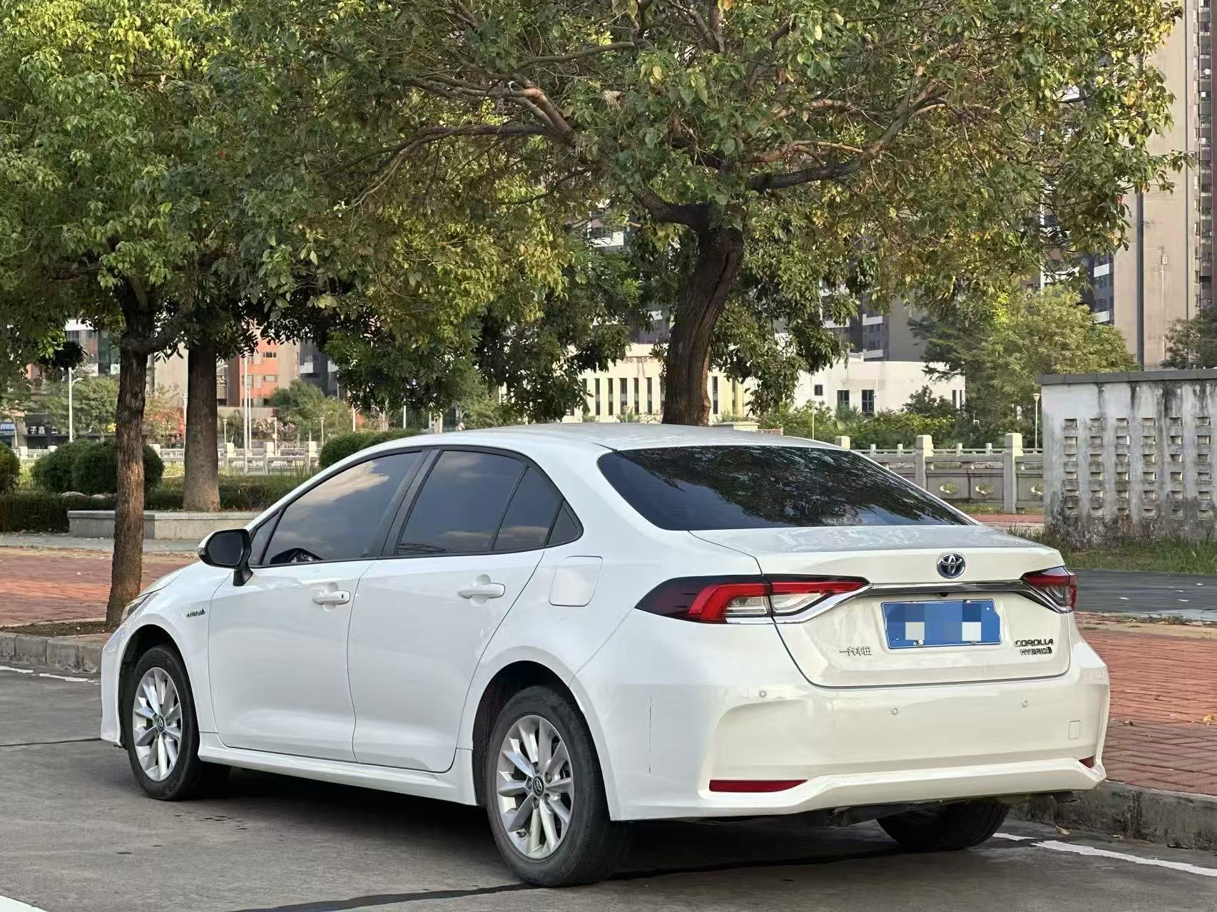 Toyota Corolla 2023 #8 Toyota Corolla 2023 car image #8