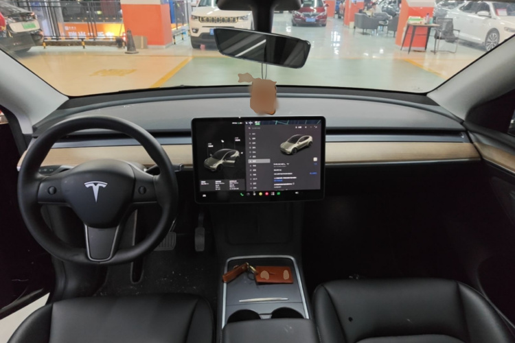 Tesla Model Y 2021 car image #10