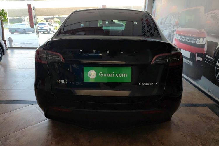 Tesla Model Y 2024 car image #6